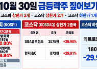 [급등락주 짚어보기] PHP 보안 취약점에 SGA솔루션즈 상한가…진양화학·형지그룹주도 급등