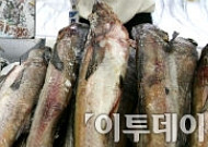‘생생정보통’ 최가네 동태찜 동태불고기 “동태 맛 제대로네”