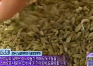'다이어트 특효' 바질씨앗 파는 곳...살 때 주의할 점은?