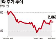 [SP] 보락, 형제끼리 블록딜 한 사연은