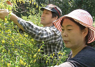 산골마을 12살 연상녀-연하남 부부가 사는 법