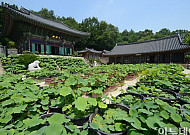 [장세영의 서울 숨은그림찾기] 천년의 역사가 숨어 있는 태고종의 총본산 ‘봉원사’