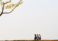 광교 호수공원, 국토부 선정한 2014 최고의 경관에 뽑혀