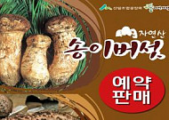 산림조합중앙회 <b>임산물</b>유통센터, 자연산 송이·능이버섯 예약판매 실시