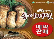 <b>산림</b>조합중앙회 임산물유통센터, 자연산 송이·능이버섯 예약판매 실시