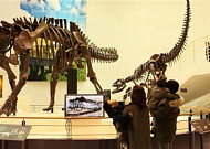 [설레는 설/구경거리] 전국 방방곡곡 박물관이 살아있다!