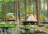 국립자연휴양림 추첨제 예약 접수 시작 '전국 38개 휴양림 대상'