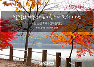 쌀쌀한 가을밤에는 커플 스파 펜션 여행!