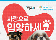 [오늘의 이벤트&할인] CJ몰 유기 동물 신년 이벤트, 신라면세점 새해 맞이 행운 이벤트 등