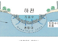 희귀 옛새우 신종 14종, 국내 하천에서 발견