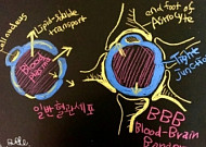 [BioS] 파킨슨병 치료제와 치명적 부작용, 그리고 신약들