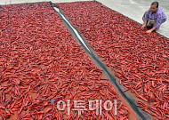 [놓치면 안되는 오늘 아침뉴스] 8월 23일