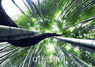 [포토] 正道를 지키며 세상과 어우러져