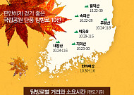 [카드뉴스] 국립공원 단풍 탐방로 10선 "편안하게 걷기 좋은 곳만 골랐어요"