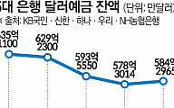 엔화 이어 달러도 더 오른다?…분주한 ‘환테크족’