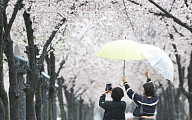"우산 챙기세요"…전국 대체로 흐리고 비 [내일 날씨]