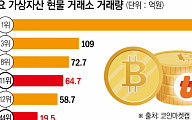 트럼프發 코인 르네상스…'갈라파고스 韓' 투자자 해외에 다 뺏긴다