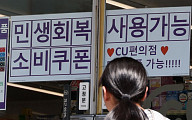 소비쿠폰 카드 수수료 인하 '불투명'…"시간·물리적 촉박"
