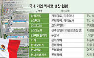 "멕시코産에 30% 관세"⋯ 삼성ㆍLGㆍ현대차, 美 수출전략 '리스크' 확대