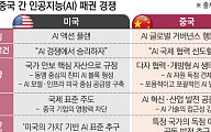 [AI 다이브⑥] “AI는 무기다”⋯미중 패권 전쟁에 흔들리는 ‘소버린 AI’