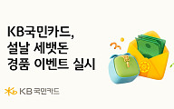 KB국민카드, 설맞이 이벤트⋯KB Pay 머니 최대 100만원