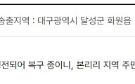 대구 달성군 화원읍 보라리 일대 정전…안전재난문자 발송