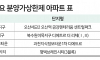 "비싸서 못 사겠다"… 분양가상한제 단지에 실수요자 쏠림 '여전'