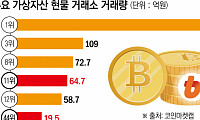 트럼프發 코인 르네상스…'갈라파고스 韓' 투자자 해외에 다 뺏긴다