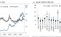 DS투자 "K-푸드 양대축 실적 개선…삼양식품 최선호주, 농심 목표가 ↑"