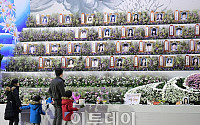 [포토] 세월호 참사 희생자 추모하는 시민들