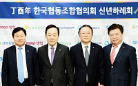 신종백 회장 “협동조합 한국경제 중요 버팀목… 새롭게 도약해야”