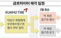 금호타이어 인수자, SAIC vs 박삼구 압축