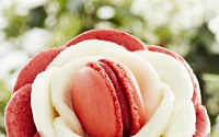 [핫아이템]프리미엄 아이스크림 ‘인기’…‘이한치한’ 추위 날리는 달콤한 맛