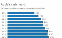 애플, 실적 호조에 현금 보유액도 사상 최고치...스리랑카 작년 GDP보다 많아
