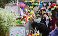 [포토] 졸업시즌 찾아온 양재 꽃시장