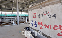 [포토]구제역 여파에 '가축경매시장 임시휴장'