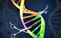 [BioS] CRISPR 특허분쟁, 브로드硏-툴젠 구도로 재편 전망