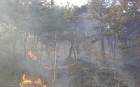 포항 군 사격장서 불…산불까지 번졌다가 2시간 만에 진화