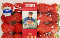 이마트, 단계ㆍ죽향ㆍ담양 지역 특산품 ‘딸기’ 4종 선봬