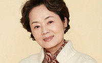 배우 김영애, 9일 오전 췌장암으로 별세…향년 66세 ‘45년 연기 인생’