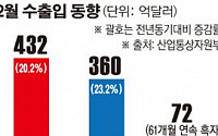 ‘수출 효자의 귀환’ 5년만에 최대 수출… 대외 불확실성 상존 안심하긴 일러