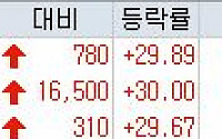 [오늘의 상한가] 일성건설2우B, 주식분할부터 호실적까지…우선주 공략 ‘上’