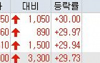 [오늘의 상한가] 탄핵 심판 D-1…우성사료ㆍDSR 등 정치 테마주 꿈틀 ‘上’