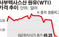 국제유가, 올 들어 첫 50달러선 붕괴…OPEC 15년 만의 감산합의에 찬물 부은 미국 셰일유