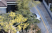 [포토]박근혜 전 대통령 사저로 진입하는 차량