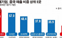 [그래픽 뉴스] 주요 대기업, 중국매출 비중 18%…롯데쇼핑은 4.5%