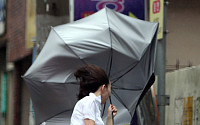 [포토]태풍에 '우산도 수난'
