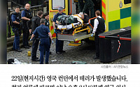 [클립뉴스] 영국 런던 테러, 경찰 총에 사망한 용의자는 누구?
