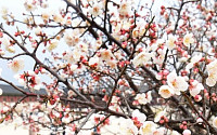 [내일 날씨] 서울 따뜻한 봄… 미세먼지ㆍ일교차 주의