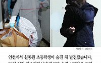 [클립뉴스] 인천 초등학생 살해, 16세 여성 용의자… 시신 일부 훼손까지